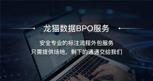 龙猫数据bpo,为企业打造安全专业的标注外包服务